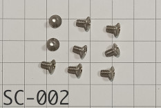 Throttle Shaft Screw